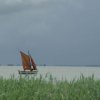 Tour 14: Darß - 3